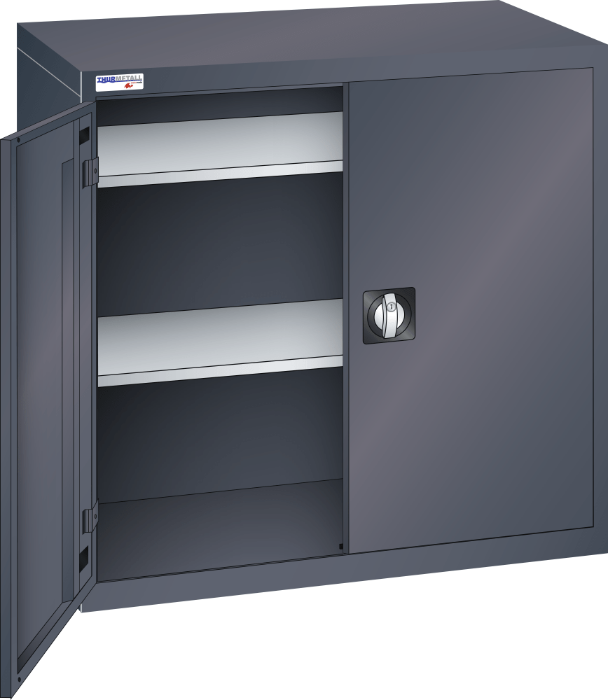 Hinged door cabinet (WxDxH) 1000x500x1000mm KEY Lock R7016