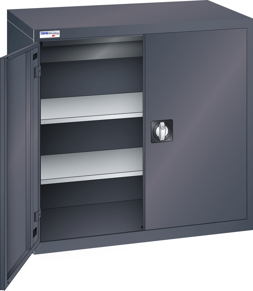 Hinged door cabinet (WxDxH) 1000x580x1000mm KEY Lock R7016